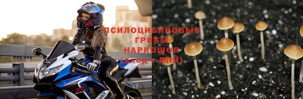 марки nbome Алзамай
