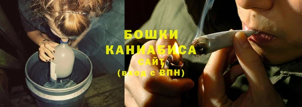 стаф Надым