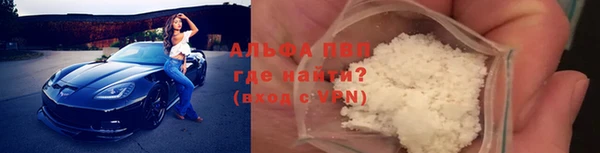 крисы Алексин